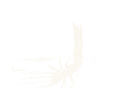 Baumwurzel
