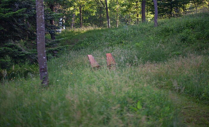 Plätze im Park